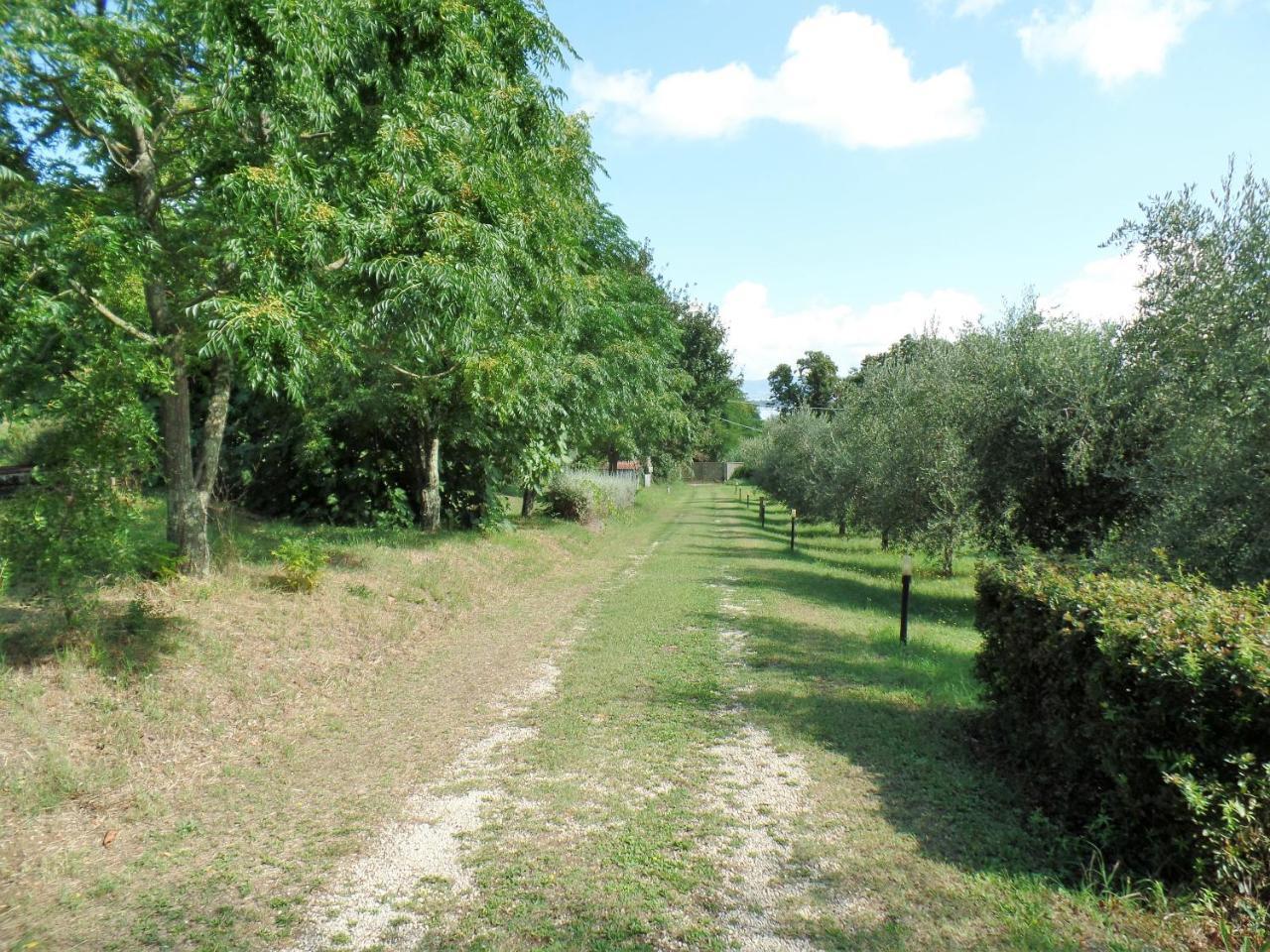 Poggiolindo B&B Capodimonte Exterior photo