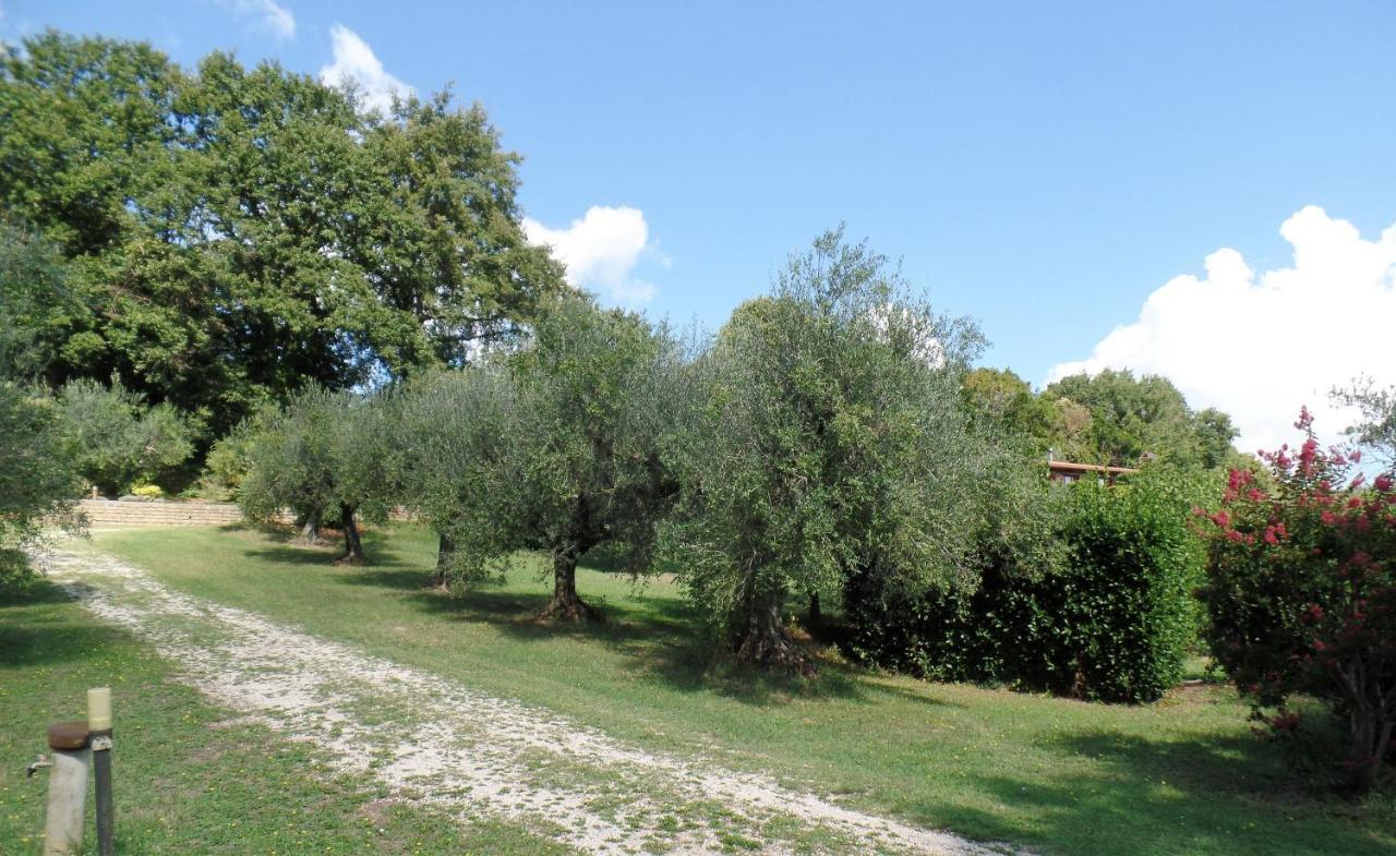 Poggiolindo B&B Capodimonte Exterior photo