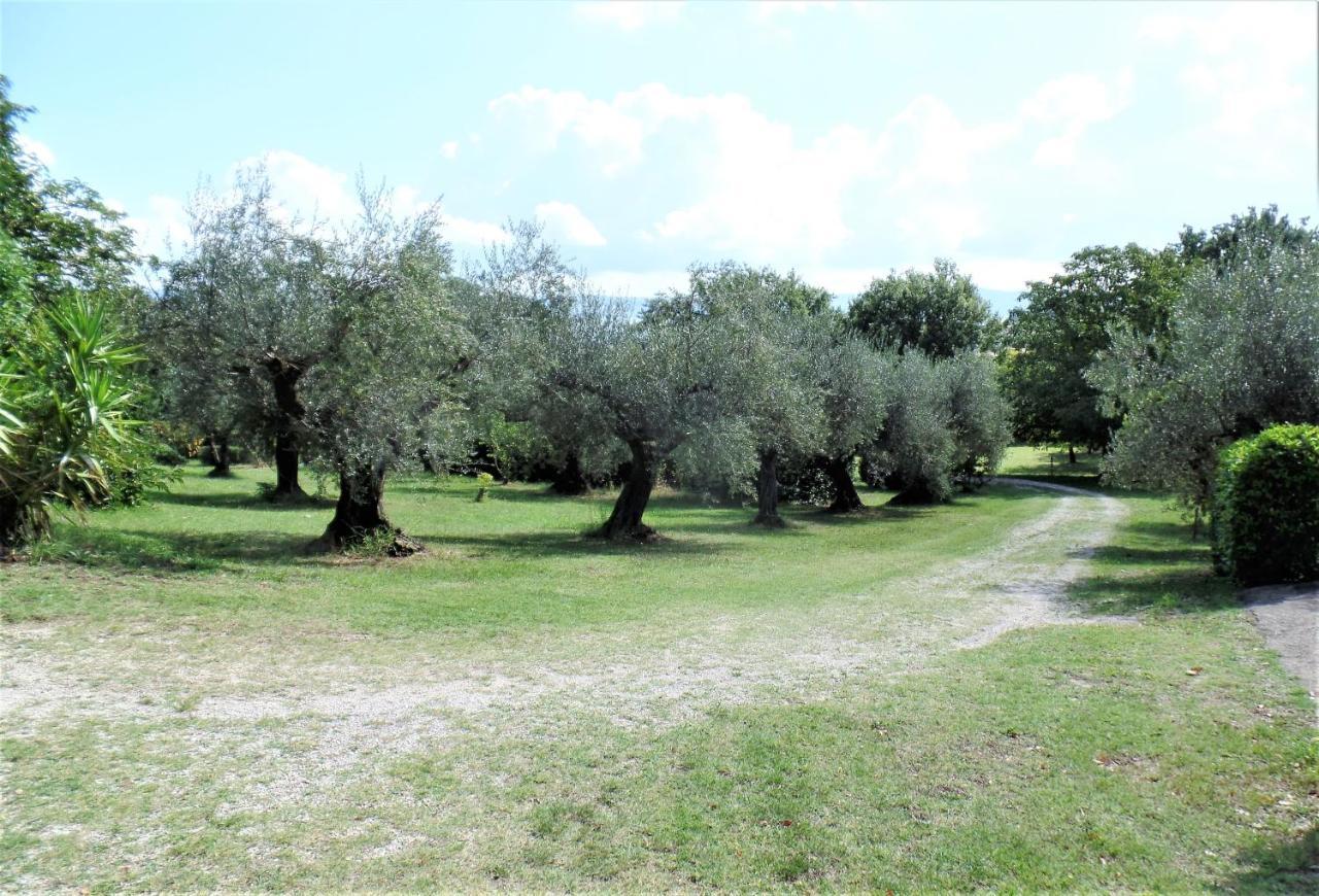 Poggiolindo B&B Capodimonte Exterior photo